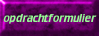 opdrachtformulier